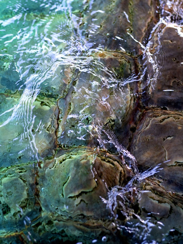CASCO DE TARTARUGA