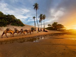 PRAIA DE GENIPABU