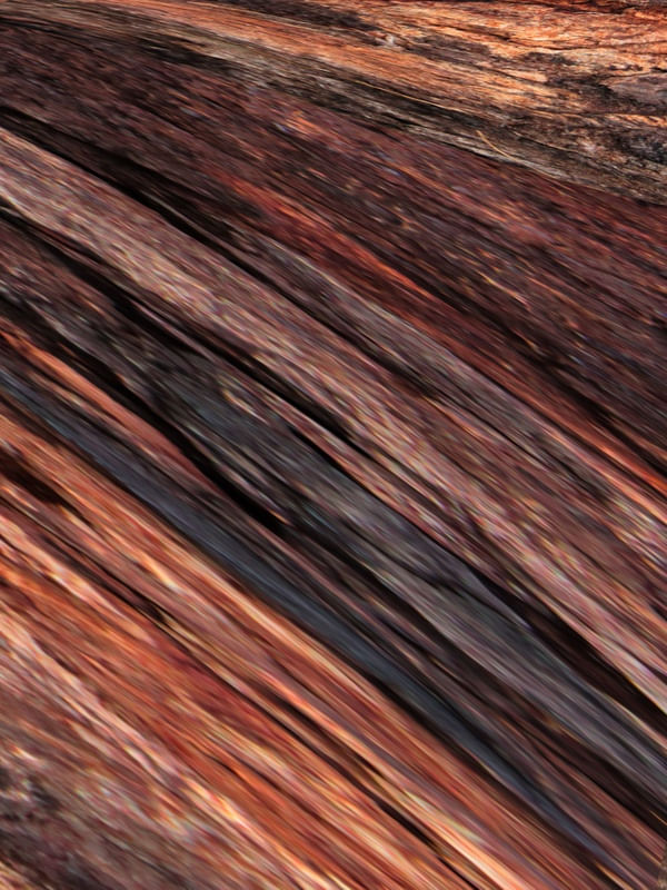 ABSTRATO MADEIRA ARTISTA GLORIA RIMES