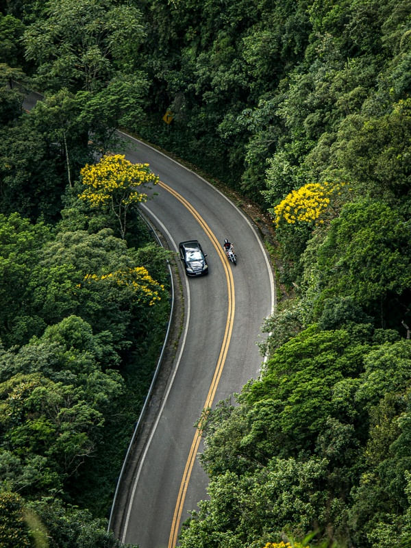 CURVA NA FLORESTA B