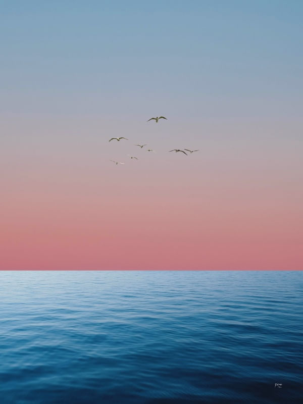 OCEAN VIEW I