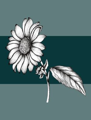 SEJA FLOR GIRASSOL 02