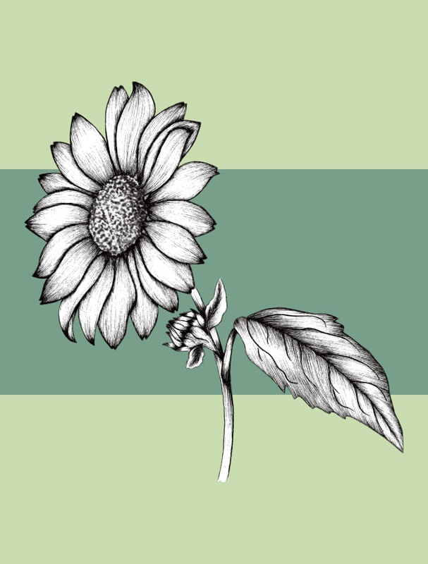SEJA FLOR GIRASSOL 03