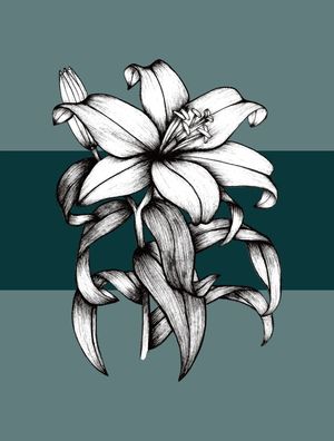 SEJA FLOR LÍRIO 02