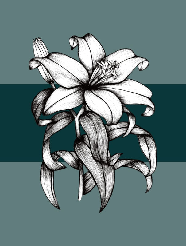 SEJA FLOR LÍRIO 02
