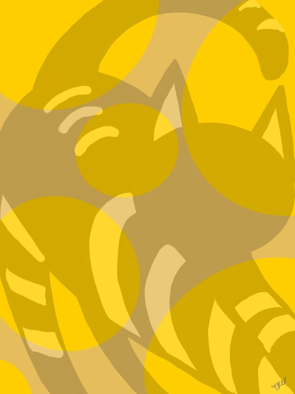 TRC GATO AMARELO