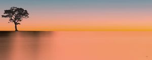 ORANGE LANDSCAPE
