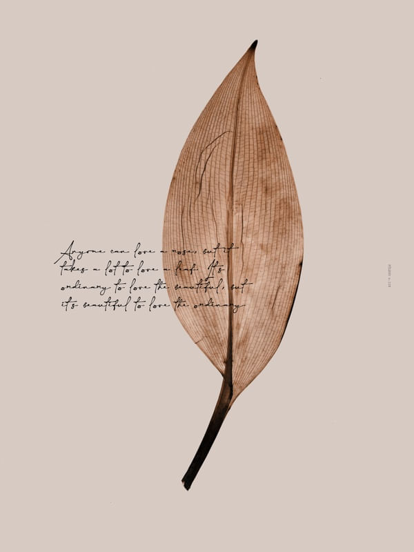 FÔLEGO N.128
