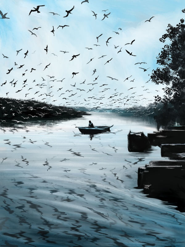 BOAT AND BIRDS