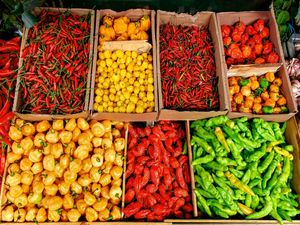 LEGUMES 06 UA