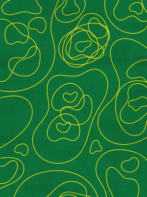 REDRAWING BURLE MARX GREEN V