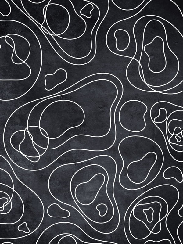 REDESIGNING BURLE MARX IN BLACK II