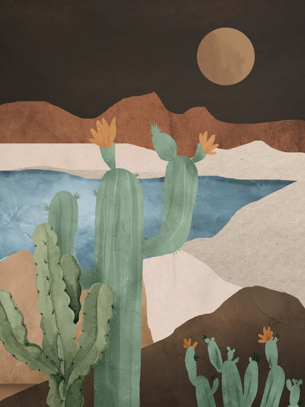 CACTUS LANDSCAPE