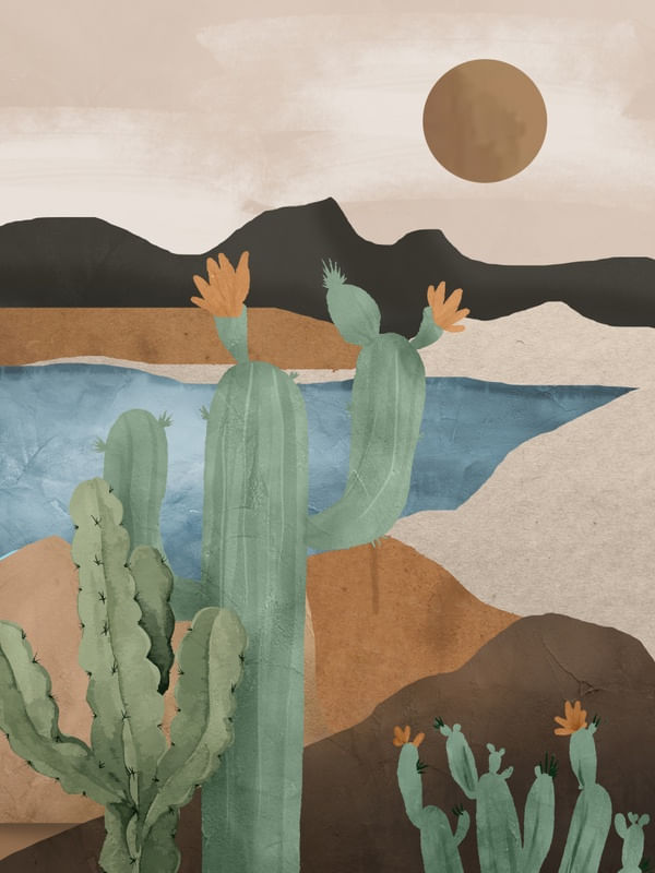 CACTUS LANDSCAPE 2