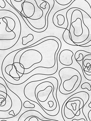 REDRAWING BURLE MARX ON WHITE V