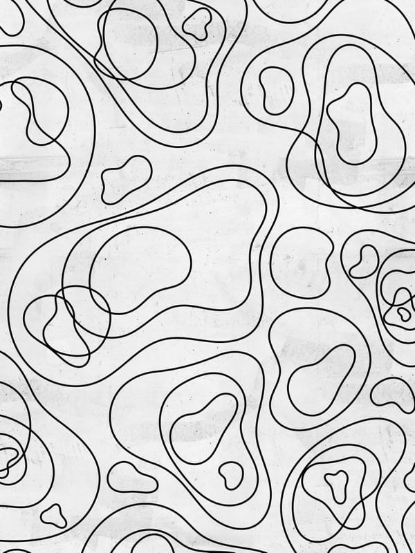 REDRAWING BURLE MARX ON WHITE V