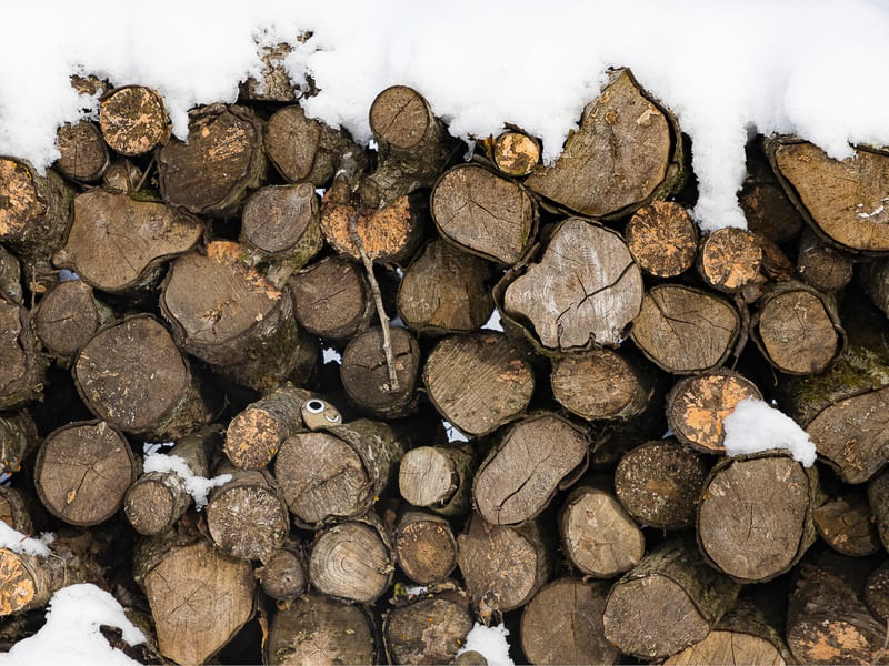ICELAND WOOD
