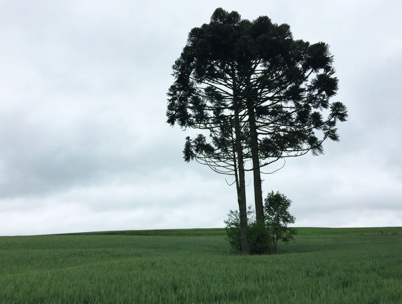 SINGULAR AO ENTORNO
