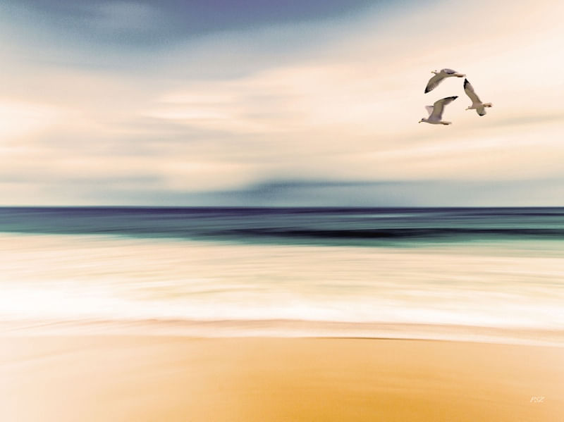 AREIA MAR E GAIVOTAS