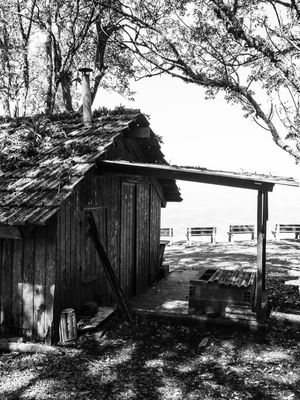 FARM LIFE 3
