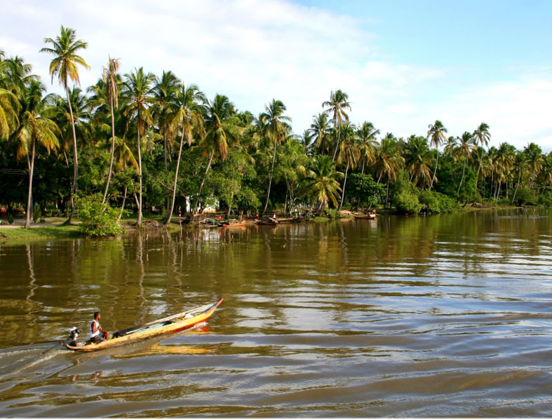 LAGOA MANGUABA 456