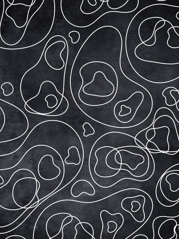 REDESIGNING BURLE MARX IN BLACK IV