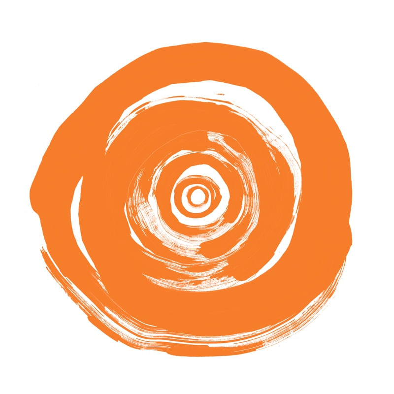 AURYN 4, COLORIDO LARANJA MODERNO CIRCULOS MINIMALISTA PINTURA
