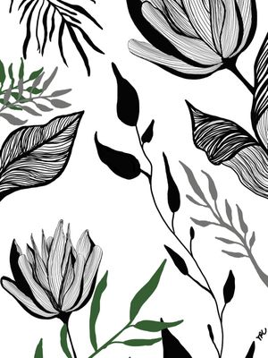 TRC PLANTAS