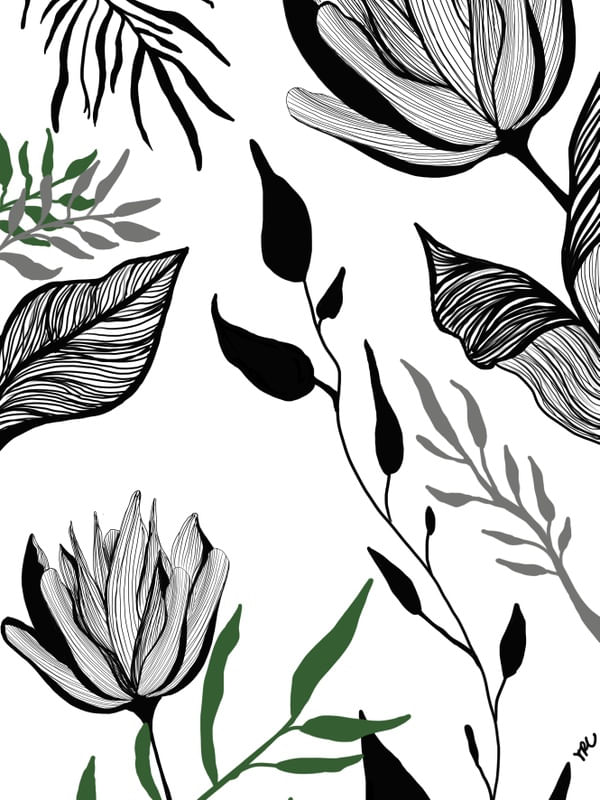 TRC PLANTAS