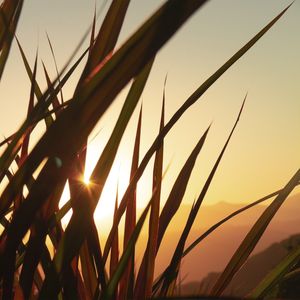 PÔR DO SOL NO CAMPO 3