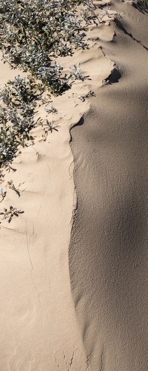 DUNE 7