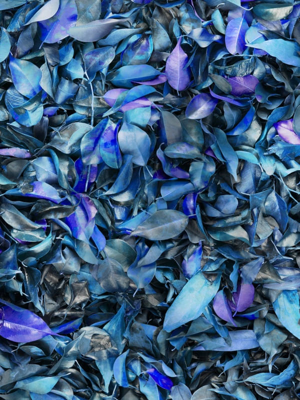 AZUL MIL FOLHAS
