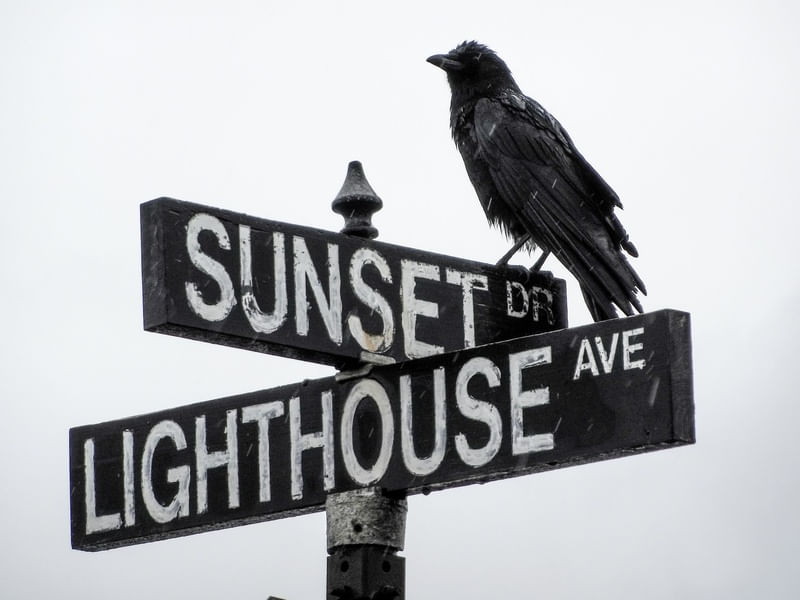 GREY SUNSET