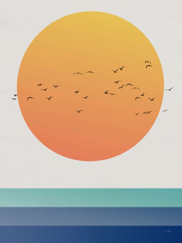 GAIVOTAS SOL E MAR