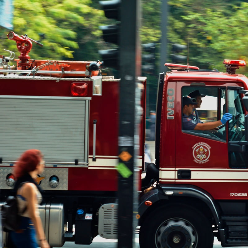 MASP N°8- 2016