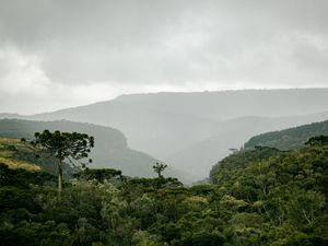 CÂNION LAJEADO