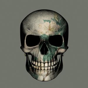 SKULL ARTE