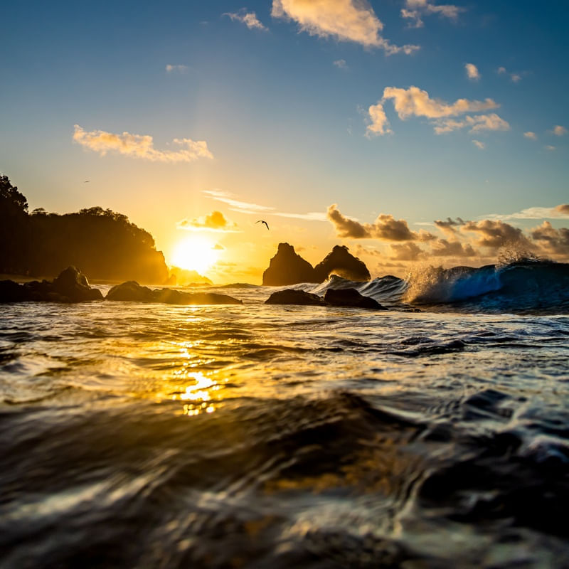 DENTRO D´ AGUA