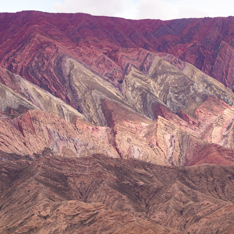 HORNOCAL SURREAL 2