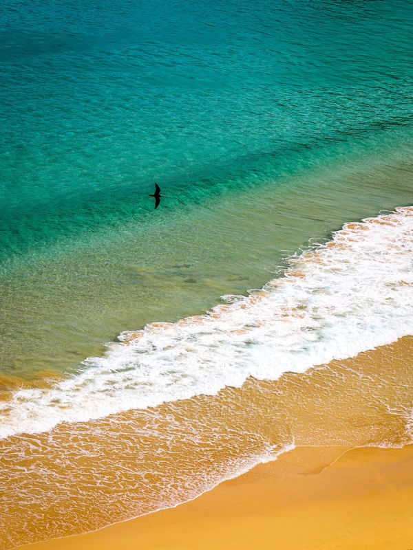 CORES DE NORONHA BRASILEIRA