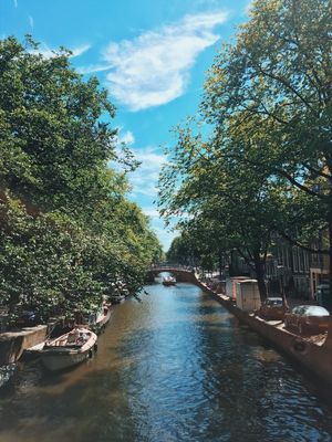 CANAIS AMSTERDAM