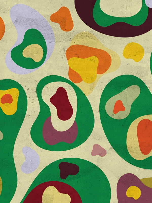 REDRAWING BURLE MARX V
