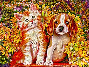 GATINHO E CACHORRINHO ENTRE FLORES