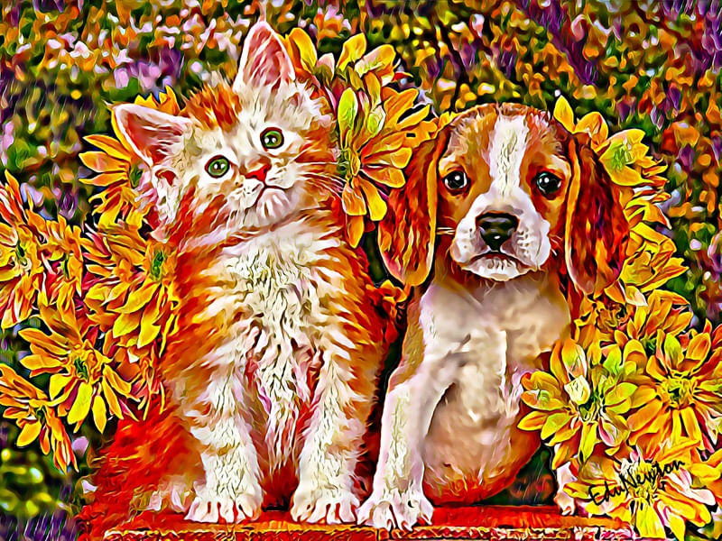 GATINHO E CACHORRINHO ENTRE FLORES
