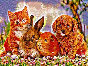 GATINHO, COELHINHO, PREAZINHO E CACHORRINHO NA FLORESTA