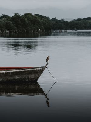 PEQUENA IMENSIDÃO