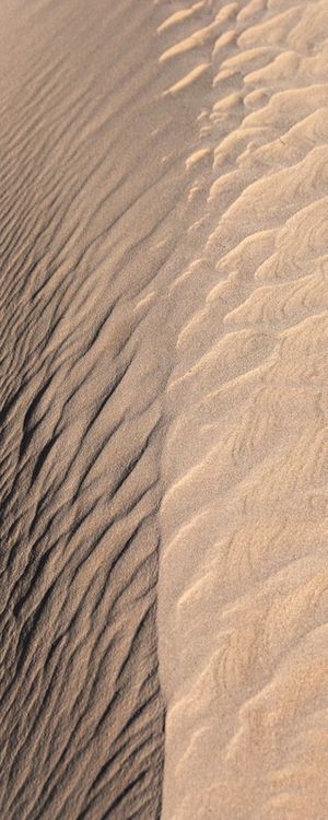 DUNE 5