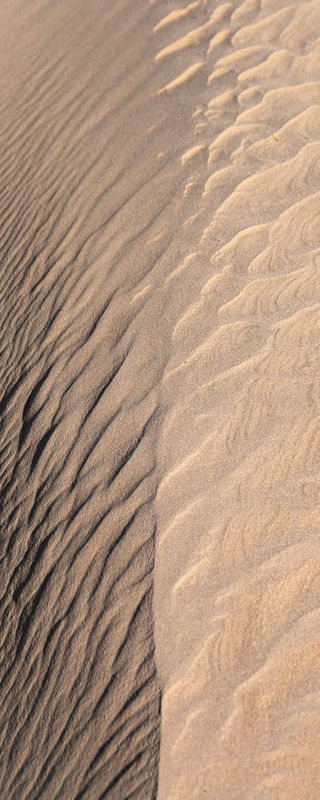 DUNE 5