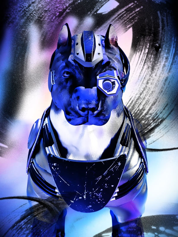 PATROL CYBER