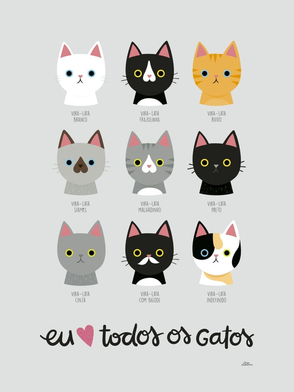 EU AMO TODOS OS GATOS
